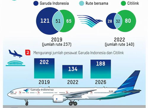 疫情给印尼航空和旅游业带来沉重打击